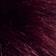 Merlot