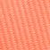 Corail Néon