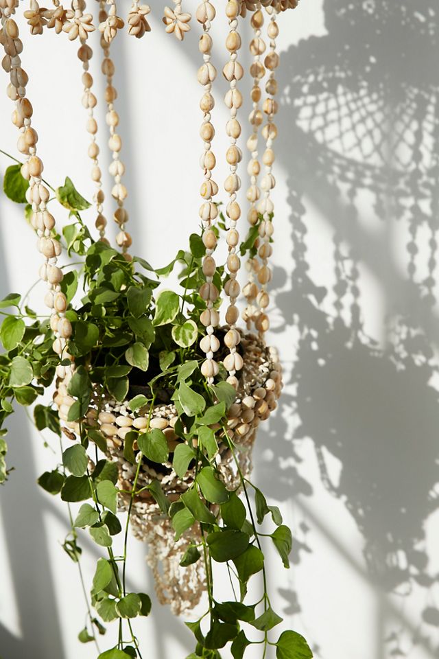 Vintage 1970s Shell Plant Hanger #4