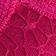 Rose Hypnotic
