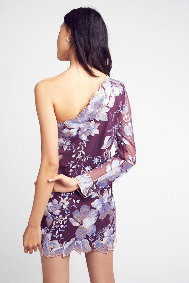 Rosalie Embroidered Mini Dress