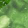Jade Green