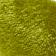 Moss
