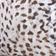 Paint White Animal