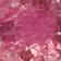 Pink Tourmaline