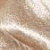Silver Champagne