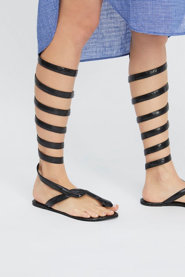 Boa Gladiator Sandal | Free People