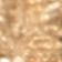 14k Gold Coin