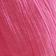 Beet Root