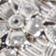 Silver Floral