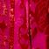 Fuchsia Combo