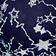 Deepest Navy Combo