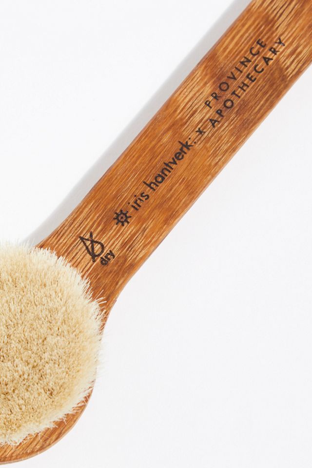 Province Apothecary Dry Brush #1