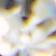 Clear / Clear Rhinestone / Abalone