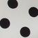 White + Polka Dot