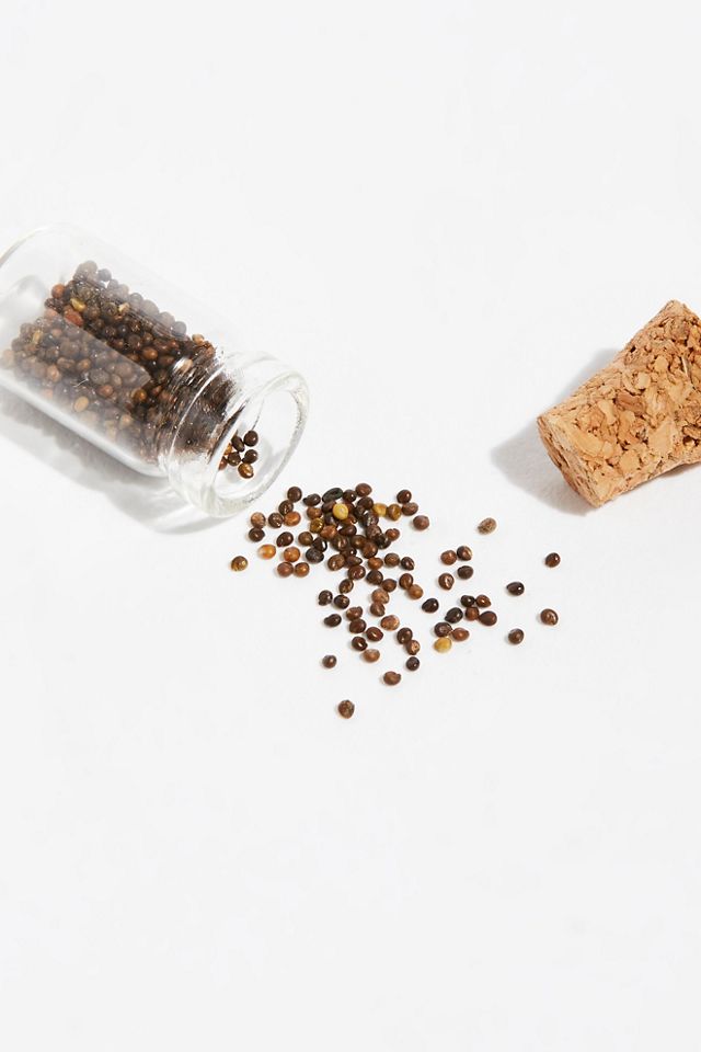 Dye Seeds In A Jar #2
