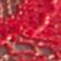 Ruby Red / Gleam