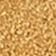 Prairie Sand