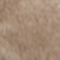 Stone Coin Suede