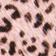 Pink Leopard