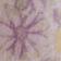 Soft Purple