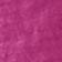 Fuchsia Fantastic
