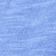Blue Iris