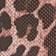 Rar Leopard