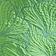 Neon Verdant