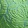 Neon Verdant
