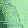 Neon Verdant