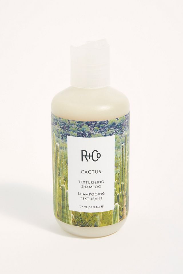 R+Co Cactus Texturizing Shampoo | Free People