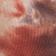 Redstorm