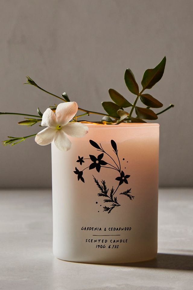 Gardenia & Cedarwood Candle – Salty Roots Boutique