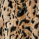 Light Leopard
