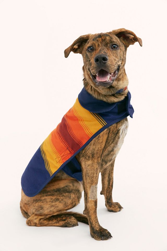 Pendleton 2024 dog coat