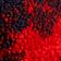 Red Toile Combo