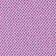 Mountain Lavender