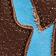 Chocolate / Light Blue