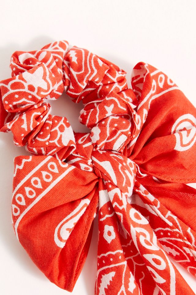 Bandana Bow Pony #1