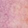 Pink Combo