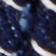 Denimology
