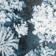 Cold Growth