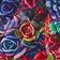 Psychedelic Succulents