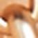 Gold Wide LInk