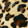 Leopard Hairon