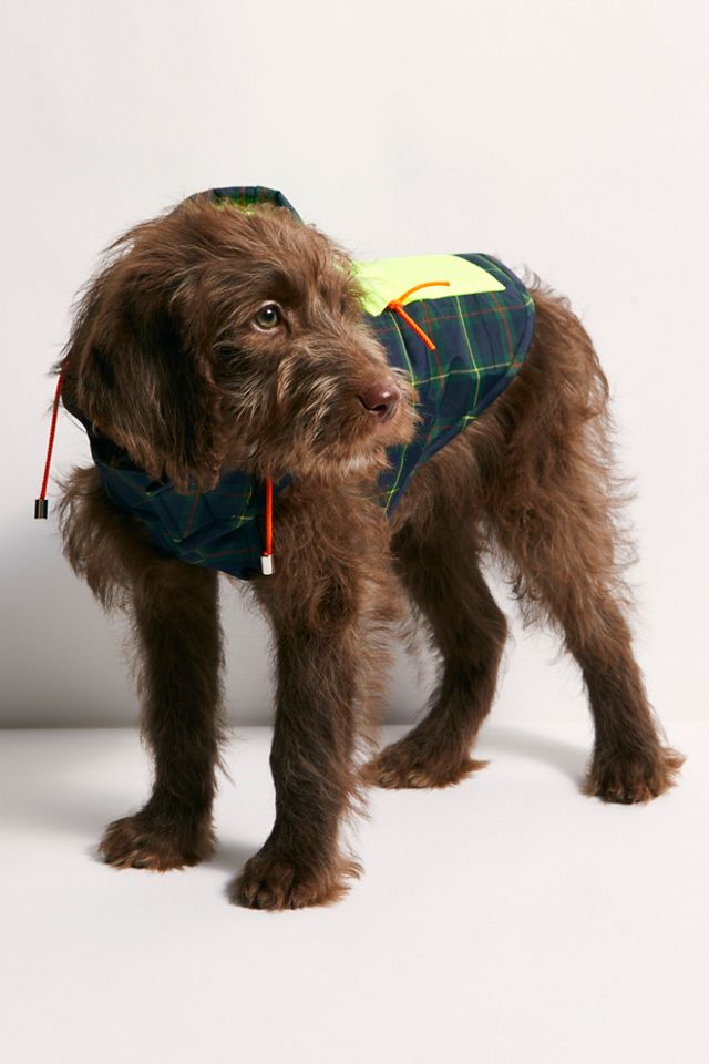 Plaid Dog Puffer #4