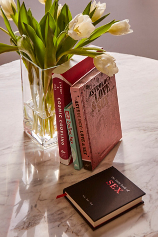 Little Book Of Sex by Chronicle Books at Free People, One