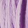 Wisteria