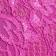 Cape Fuchsia